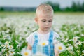 A happy little boy looks at the flowers in a meadow of wild daisies. A cute smiling baby in a chamomile field at sunset in the Royalty Free Stock Photo