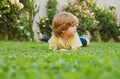 Happy little boy lying on the grass at the summer park. Portrait of a smiling child lying on green grass outdoor. Kids