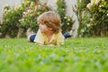 Happy little boy lying on the grass at the summer park. Portrait of a smiling child lying on green grass outdoor. Kids Royalty Free Stock Photo