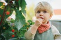 Happy little boy in overalls harvesting and eating raspberries. Royalty Free Stock Photo