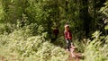 Happy little boy walking his puppy beagle in green park. Dog on leash runs forward and pulls child. Happy time Royalty Free Stock Photo