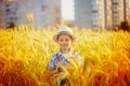 Happy little boy walking on wheat summer field. Harvest concept Royalty Free Stock Photo