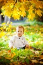 A happy little boy in a white knitted sweater plays with yellow maple leaves against the background of a golden autumn Park Royalty Free Stock Photo