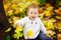 A happy little boy in a white knitted sweater plays with yellow maple leaves against the background of a golden autumn Park Royalty Free Stock Photo