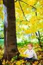 A happy little boy in a white knitted sweater plays with yellow maple leaves against the background of a golden autumn Park Royalty Free Stock Photo