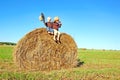 Happy Little Boys Sitting on Big Hay Bale in Farm Field Royalty Free Stock Photo