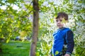 adorable kid boy portrait in blooming cherry garden, walking outdoor. child exploring flowers on bloom tree Royalty Free Stock Photo