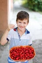 Happy little caucasian boy holding cherry