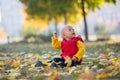 Happy little child, baby boy, laughing and playing in the autumn Royalty Free Stock Photo