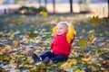 Happy little child, baby boy, laughing and playing in the autumn Royalty Free Stock Photo