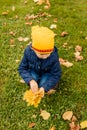 Happy little child, baby girl laughing and playing in the autumn on the nature walk outdoors. Kid play in autumn park Royalty Free Stock Photo