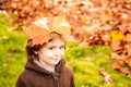 Happy little child have fun and playing with fallen golden leaves. Royalty Free Stock Photo