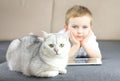Happy little child relaxing on the couch with a Scottish silver cat. Boy child with cat friendship indoors and no allergy to pets Royalty Free Stock Photo