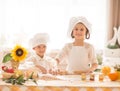 Happy little children in the form of a chef to cook delicious meal Royalty Free Stock Photo