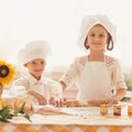 Happy little children in the form of a chef to cook delicious meal Royalty Free Stock Photo