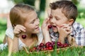 Happy little children lying near the tree with a basket of cherries at the day time. Royalty Free Stock Photo