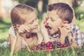 Happy little children lying near the tree with a basket of cherries at the day time. Royalty Free Stock Photo