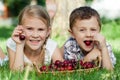 Happy little children lying near the tree with a basket of cherries at the day time. Royalty Free Stock Photo