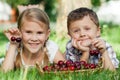 Happy little children lying near the tree with a basket of cherries at the day time. Royalty Free Stock Photo