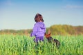 Happy little girl with a dog walking on a grassy field Royalty Free Stock Photo