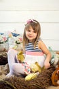 Happy little girl in a dress with flowers on her head sits in a nest and holds cute fluffy Easter ducklings on her knees