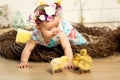 A happy little girl in a dress with flowers on her head is sitting in a nest and cute fluffy Easter ducklings and a white Easter Royalty Free Stock Photo