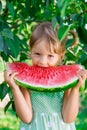Happy little girl eating big watermelon slice. Portrait. Royalty Free Stock Photo