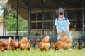 Happy little girl feeding chickens in the farm. Farming, Pet, Ha