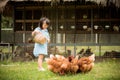 Happy little girl feeding chickens in front of chicken farm Royalty Free Stock Photo