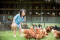 Happy little girl feeding chickens in front of chicken farm.