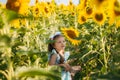 Happy little girl on the field of sunflowers in summer. beautiful little girl in sunflowers Royalty Free Stock Photo