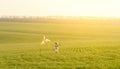 Happy little girl flying kite Royalty Free Stock Photo