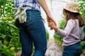 Happy little girl helps her single mother in organic family farm, greenhouse.