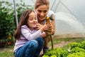 Happy little girl helps her single mother in organic family farm, greenhouse.