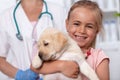 Happy little girl with her puppy dog at the veterinary doctor office - close up