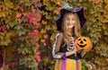 Happy little girl holding a big Halloween pumpkin. Royalty Free Stock Photo