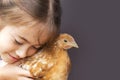 Happy little girl holds a chicken in his hands. Close view of young chick in girls hand Royalty Free Stock Photo