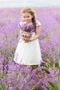 Happy little girl in lavender field with basket of Royalty Free Stock Photo