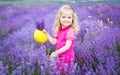 Happy little girl is in a lavender field Royalty Free Stock Photo