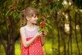 Happy little girl play near cherry tree in summer garden. Kid picking cherry on fruit farm. Child pick cherries in orchard.