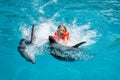 Happy Little Girl Riding two Dolphins in Swimming Pool Royalty Free Stock Photo