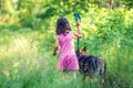 Little girl walking with dog in the forest Royalty Free Stock Photo