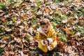 Happy little girl in yellow jacket playing with autumn leaves in park. Child in outdoor fun in fall season. Smiling cute toddler Royalty Free Stock Photo