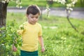 Happy little kid boy with brown eyes sitting on the grass daisies flowers in the park