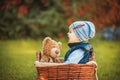 Happy little kid boy playing with bear toy and crying while sitting in basket on green autumn lawn. Children enjoying activity Royalty Free Stock Photo