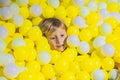 Happy little kid boy playing at colorful plastic balls playground high view. Adorable child having fun indoors Royalty Free Stock Photo