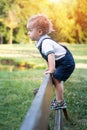 Happy little kid having fun climbing on the fence in park on warm summer day Royalty Free Stock Photo