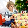 Happy little kid laughing at the tree. The concept of Christmas Royalty Free Stock Photo