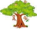 Happy little monkey hanging on tree Royalty Free Stock Photo