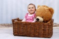 Happy little toddler in the basket with teddy bear Royalty Free Stock Photo